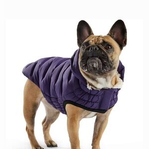 Purple Dog Winter Coat